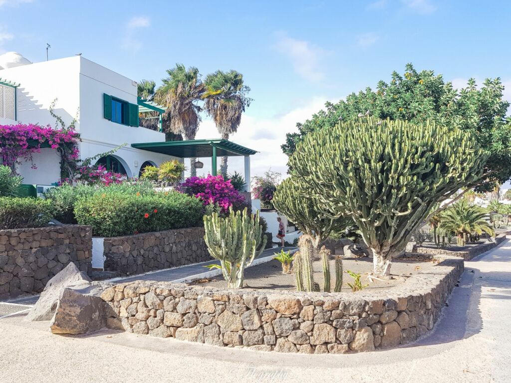 maison avec cactus à Puerto Del Carmen à lanzarote