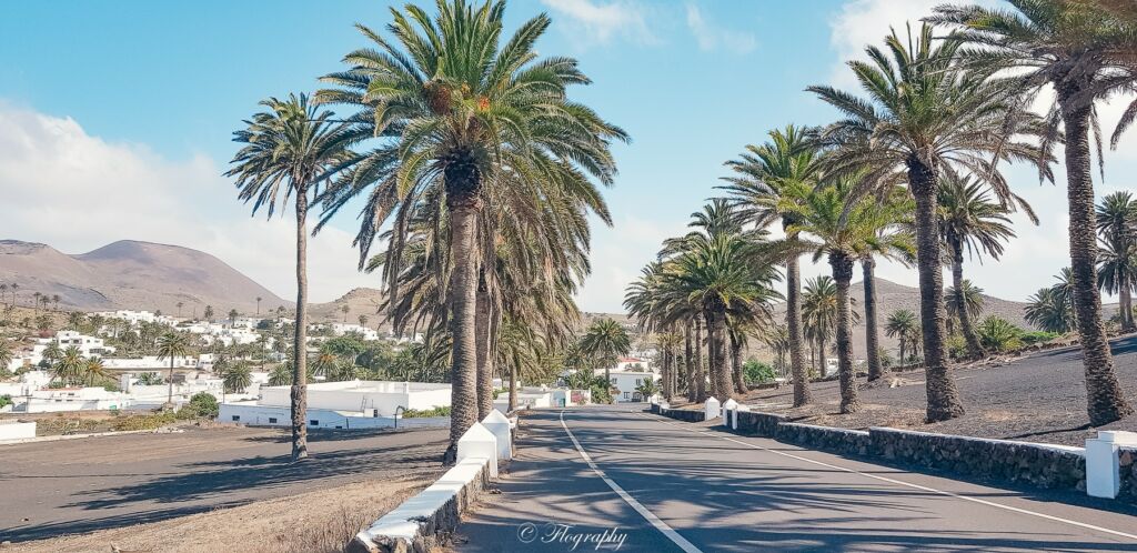 Haria avec route bordée de palmiers à Lanzarote