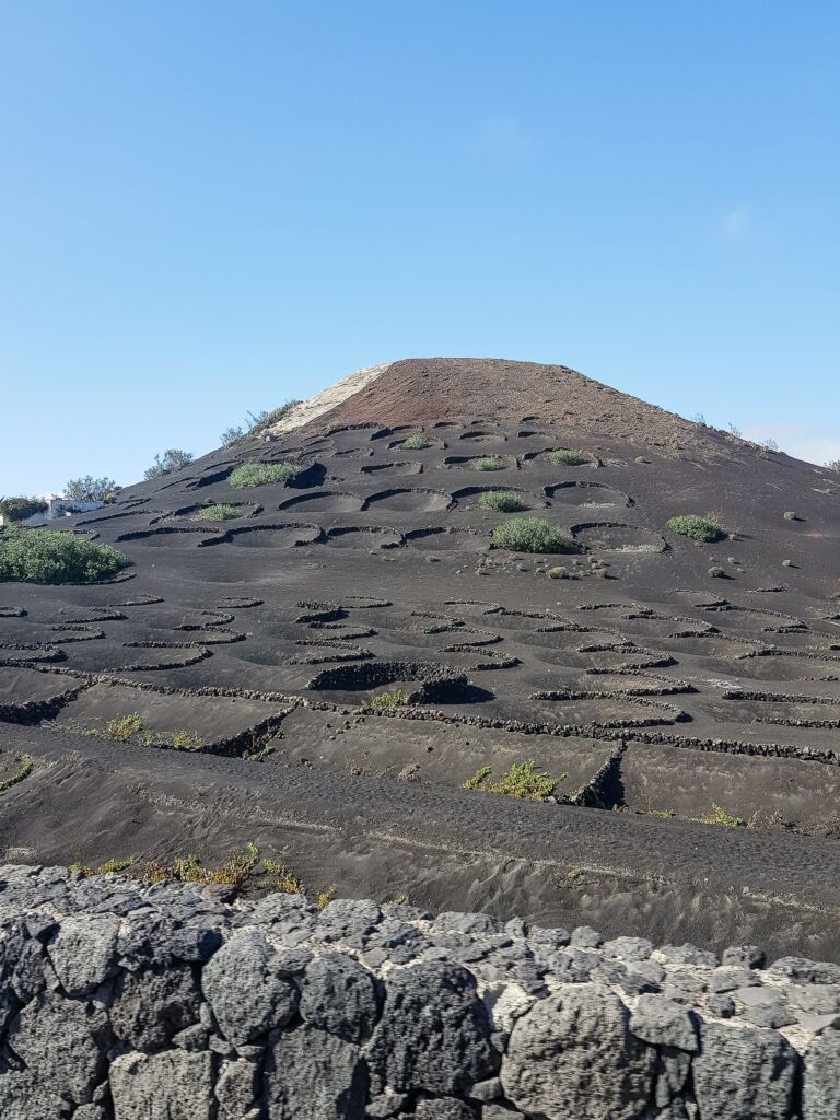 route des vignes sur un volcan noir la geria à lanzarote