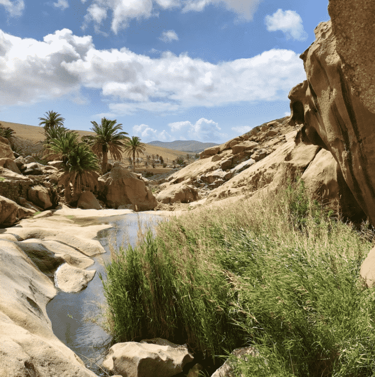 Las Penitas Vegal El Rio à Fuerteventura