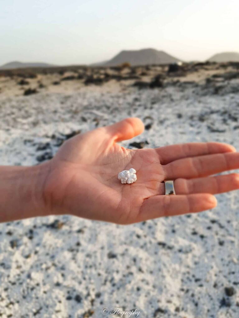 sable en forme de popcorn à Playa del Bajo de la Bura Fuerteventura