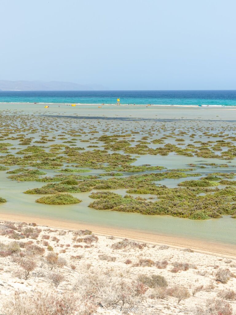 lagune de Sotavento à Fuerteventura