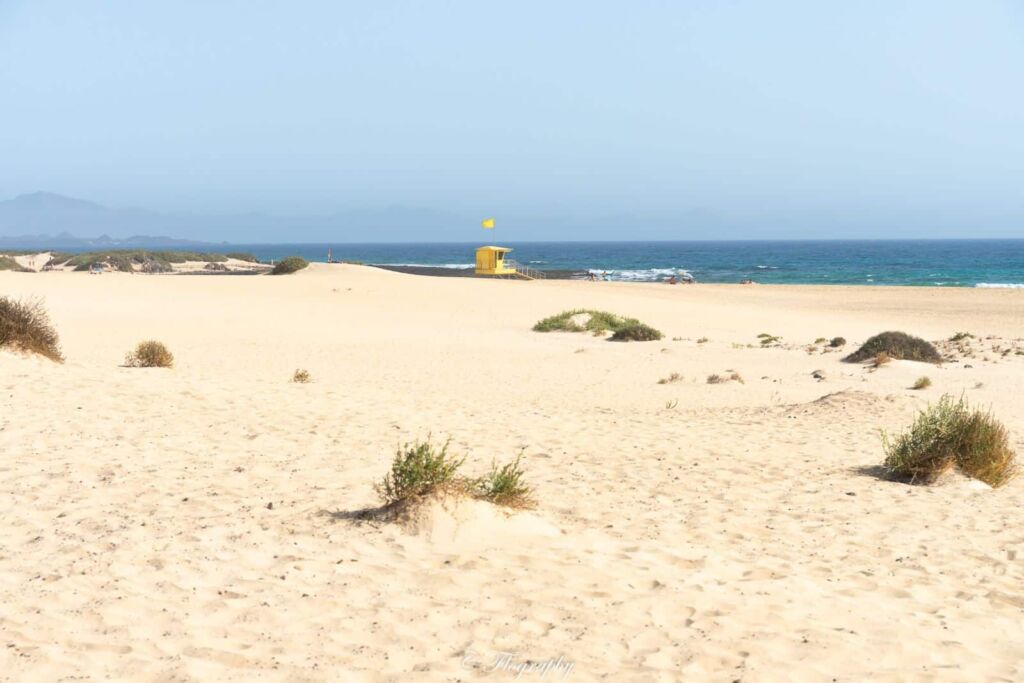 plage grandes playas Corralejo Fuerteventura