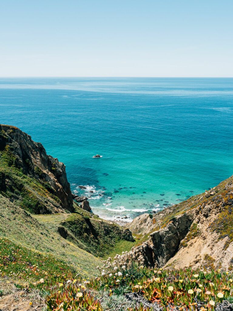 Cabo da Roca océan et fleurs au Portugal