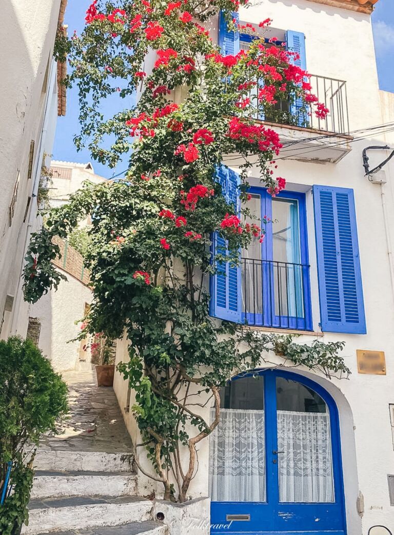 Cadaques et ses Bougainvilliers