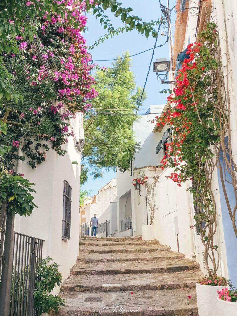 Ruelle de callela de palafrugell fleurs bougainvilliers catalogne