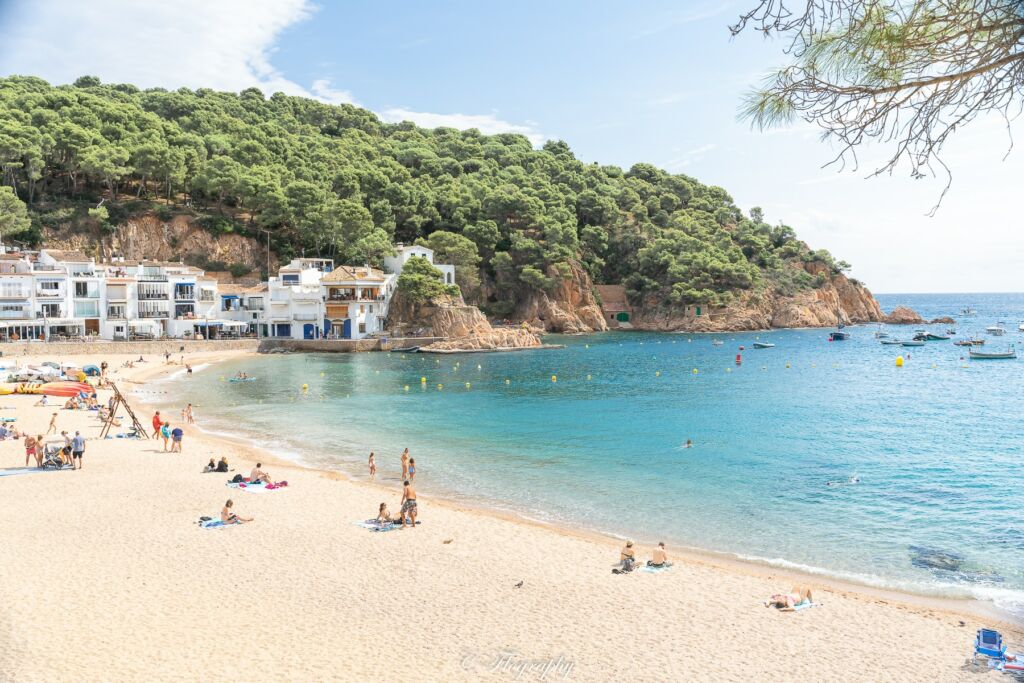 plage tamariu catalogne espagne espana catalunya beach playa