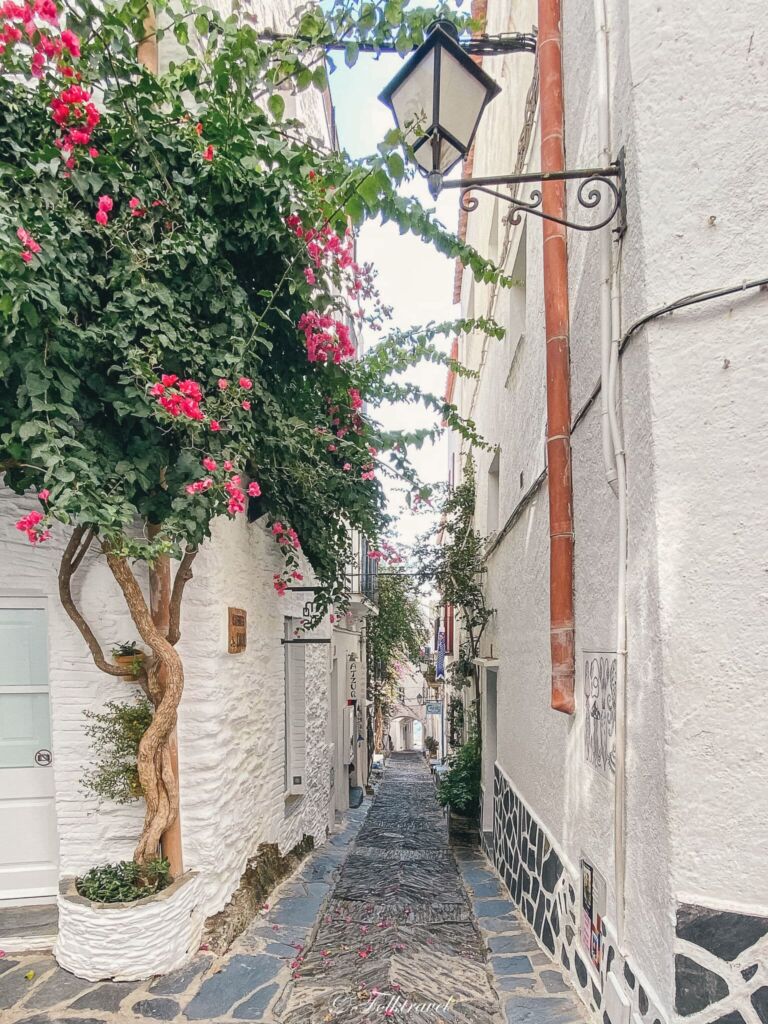 ruelle fleurit cadaques fleurs maison blanche bougainvilliers espagne