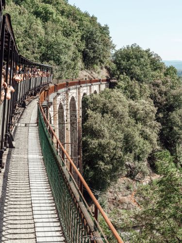 Bridge from the Martel train