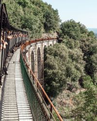 Bridge from the Martel train