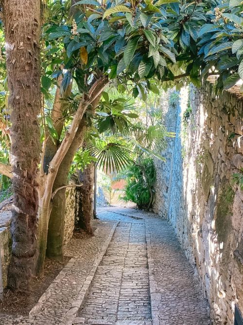 sentier avec néflier plantes exotique la roque gageac