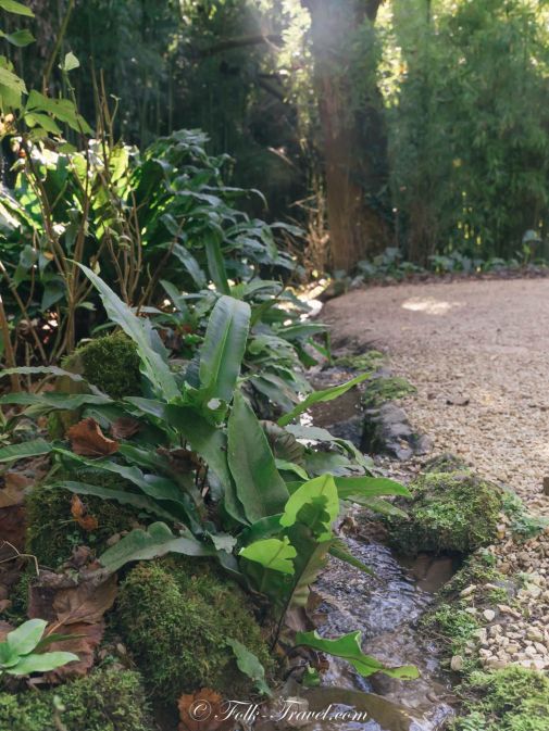 la bambousaie la roque gageac plantes Dordogne