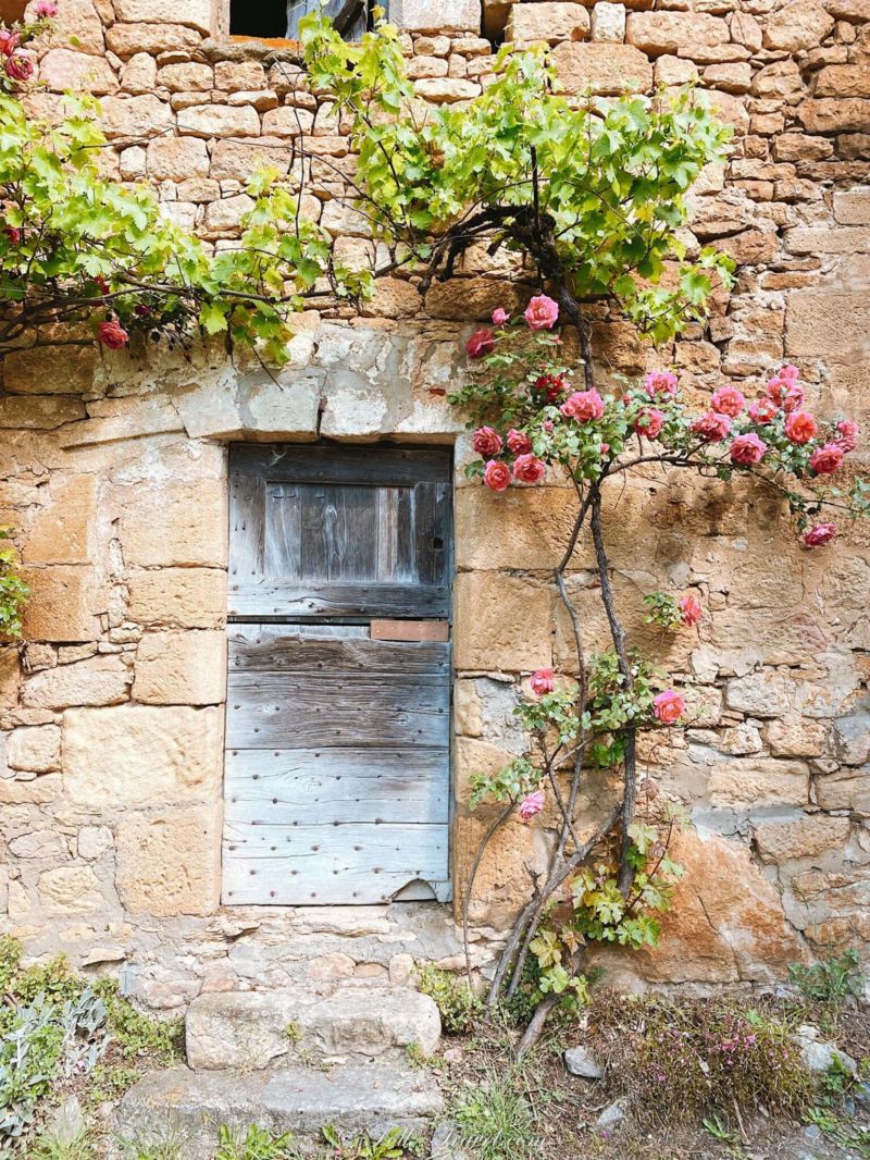 porte ancienne de maison fleurie à la roque gageac